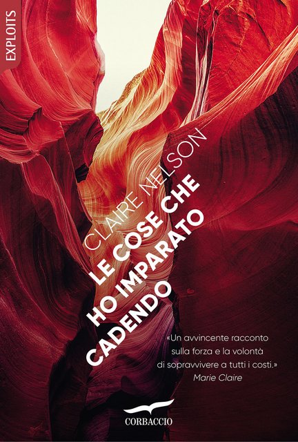 Claire Nelson – Le cose che ho imparato cadendo (2021)