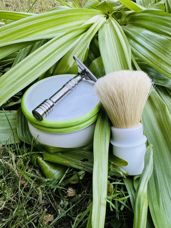 SOTD-20240515.jpg