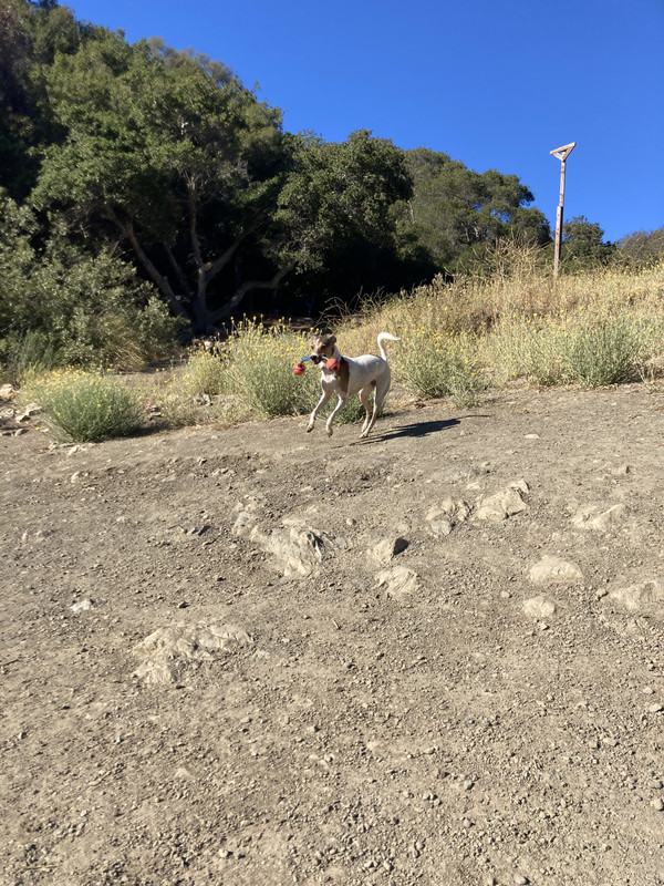 1E258D11-F355-41C8-B4A3-F8DA47C376B8