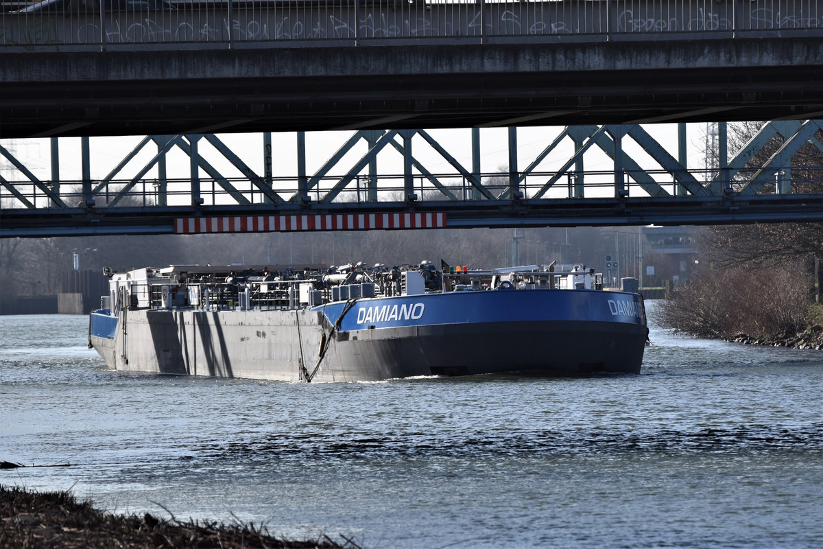 2022.02.23b2 Damiano (1940x1293)