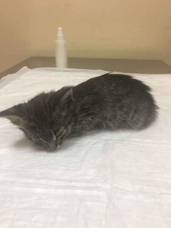 5F9187E8-9C69-43F9-8520-1785B03B7B6C