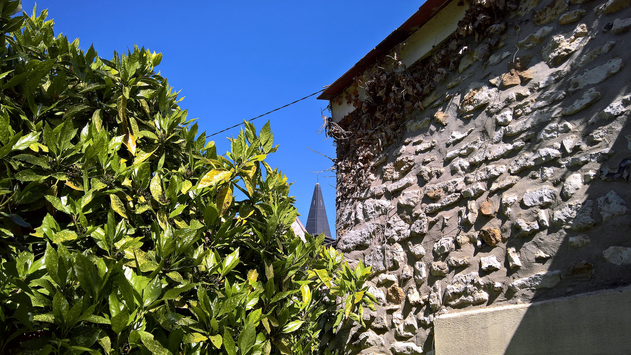 WP_20180427_11_03_29_Pro