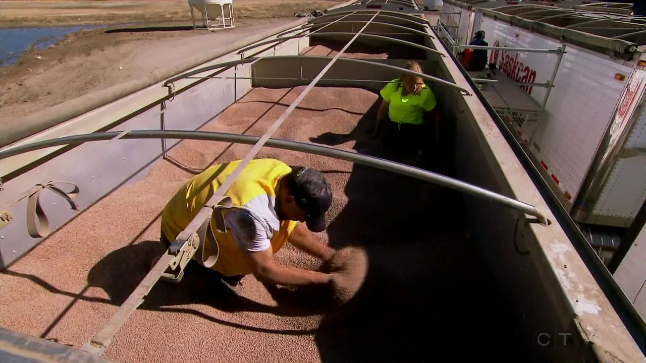 vlcsnap-2021-12-12-00h18m01s883