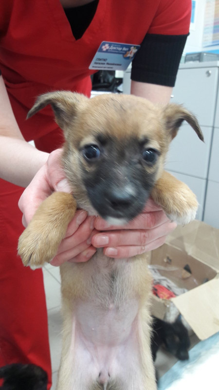 458A4C4E-F3C2-4B53-B26B-74A9F3453F18