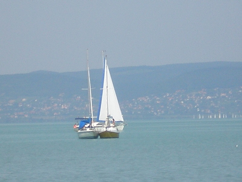Slika