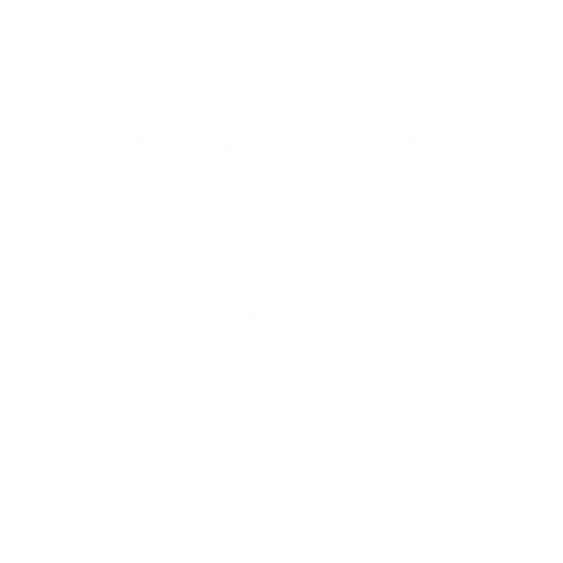 X Icon