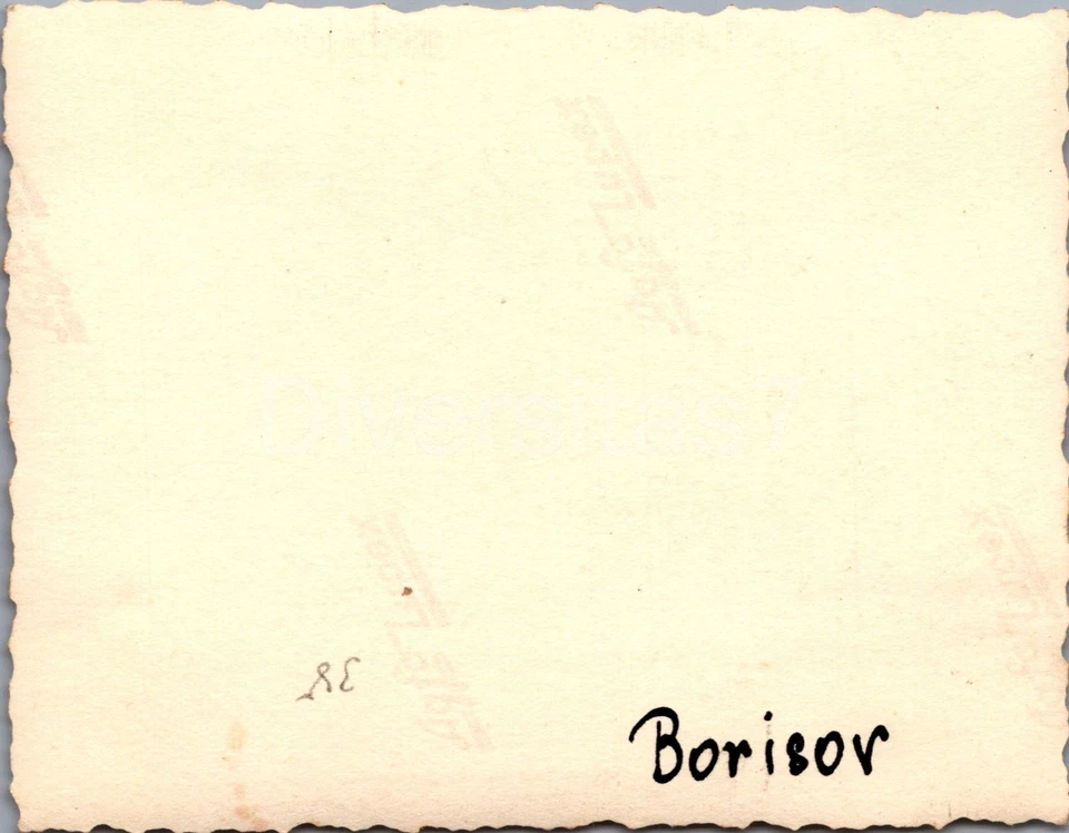 Foto a Nachl. Uffz H Gollner Panzer-Regt. 4, Panzer in Borissow Belarus D-82 (1)