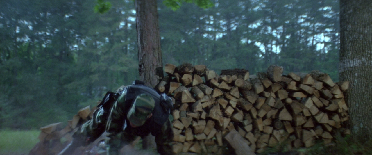 vlcsnap-2022-06-14-10h31m03s937