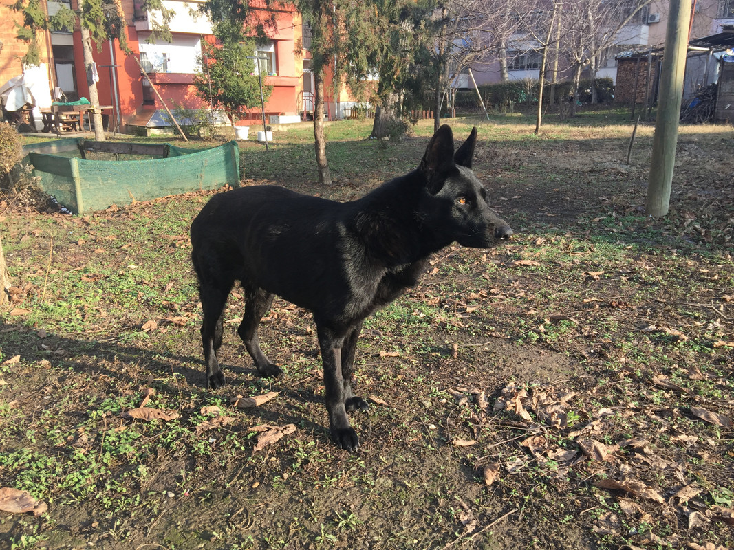 B6CA602D-1566-4A60-8ED9-CE14A9DB6D18