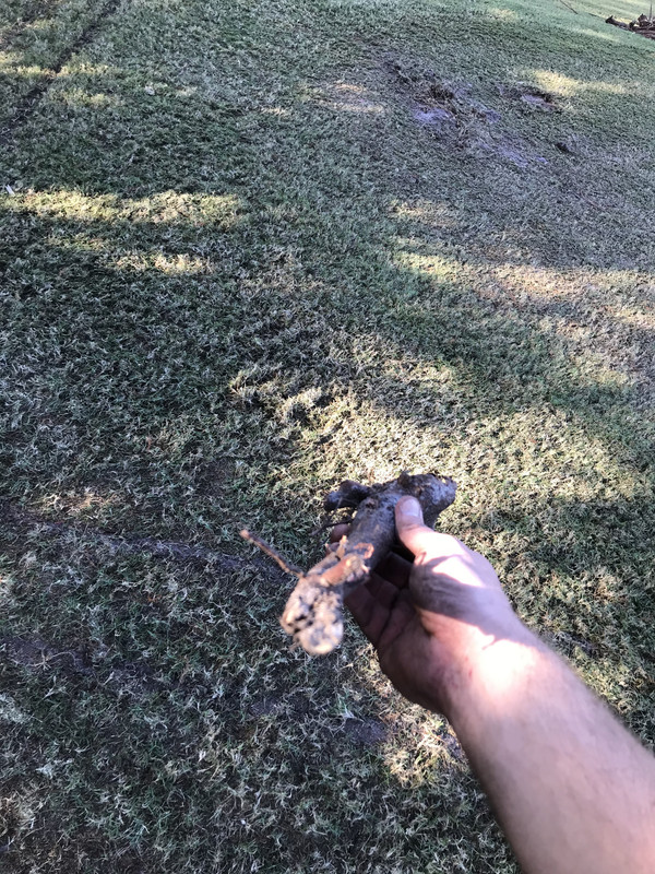 5895FAE6-218A-4829-8E48-D23AD103EC80