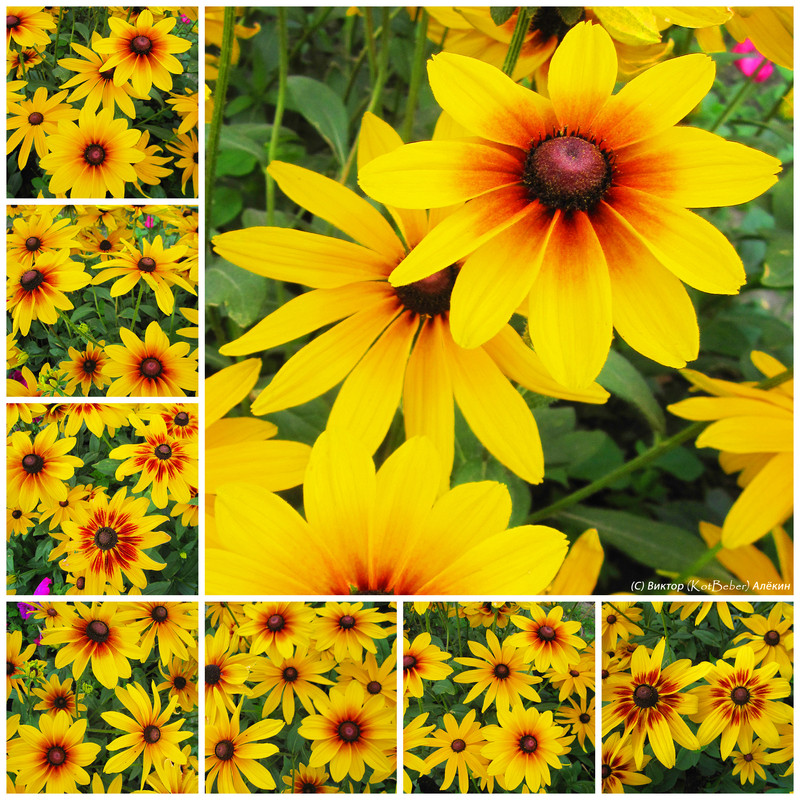 Bmw e36 m40 1. метки 50. цепь грм инфинити фх 35. метки 50. метки коленвала бмв е34 м50.