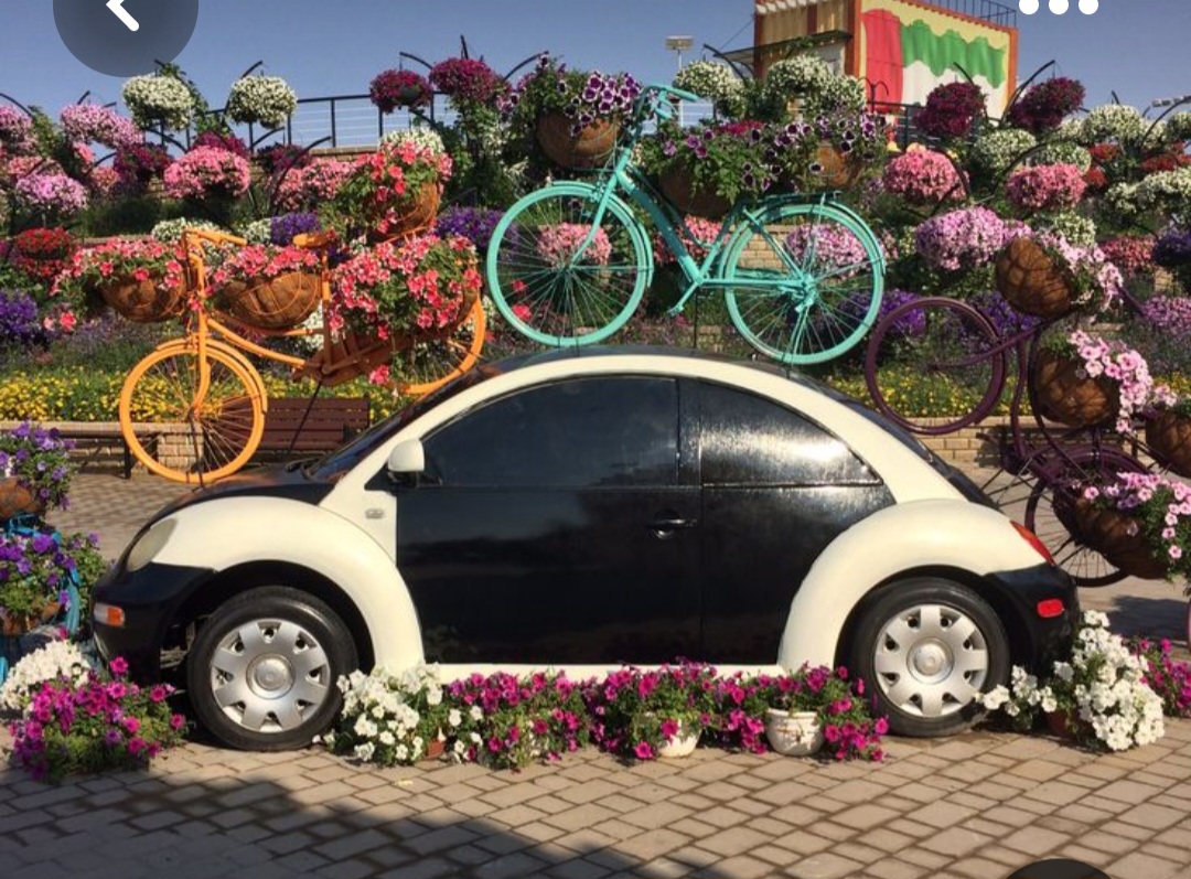 Screenshot_20230402_223729_Pinterest