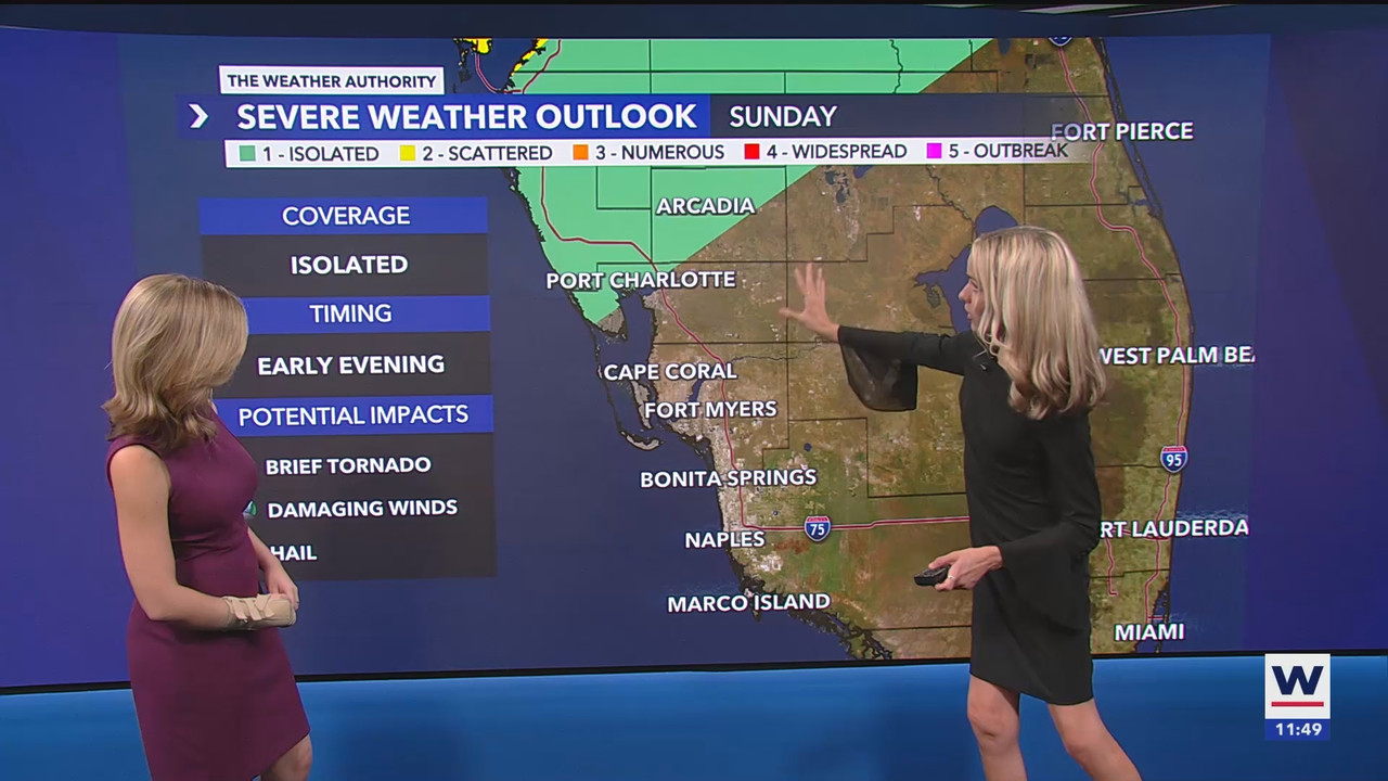 03.16 - 12.00.00 - WINK News at 8 00AM  ᴺᵉʷ. Breaking news and headli...(1).ts_snapshot_20.46.943