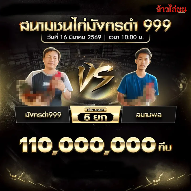 โปรแกรมไก่ชน คู่มังกรดำ999 พบ สมานพล สนามชนไก่มังกรดำ999 วันจันทร์ที่ 16 มีนาคม 2569