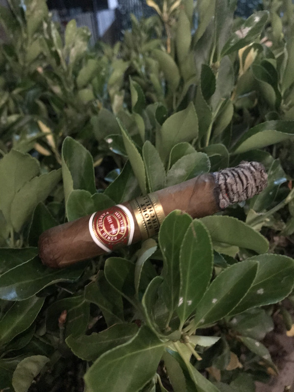 3071917E-CF10-4C0B-9667-01BC5A7A310F