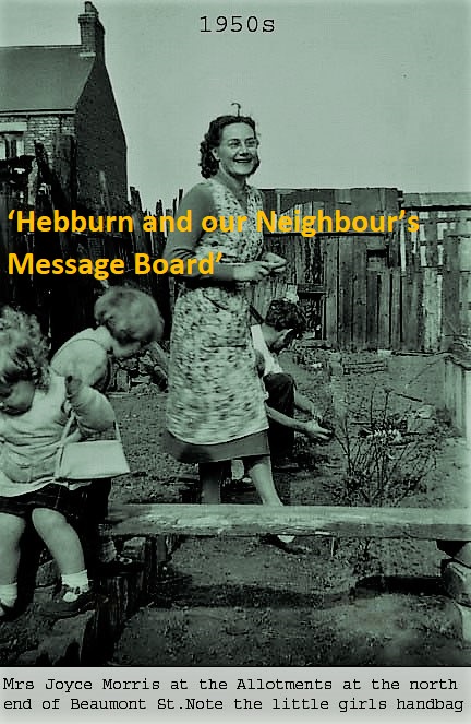 Beaumont-Area-allotments-1950s-Joyce-Morris