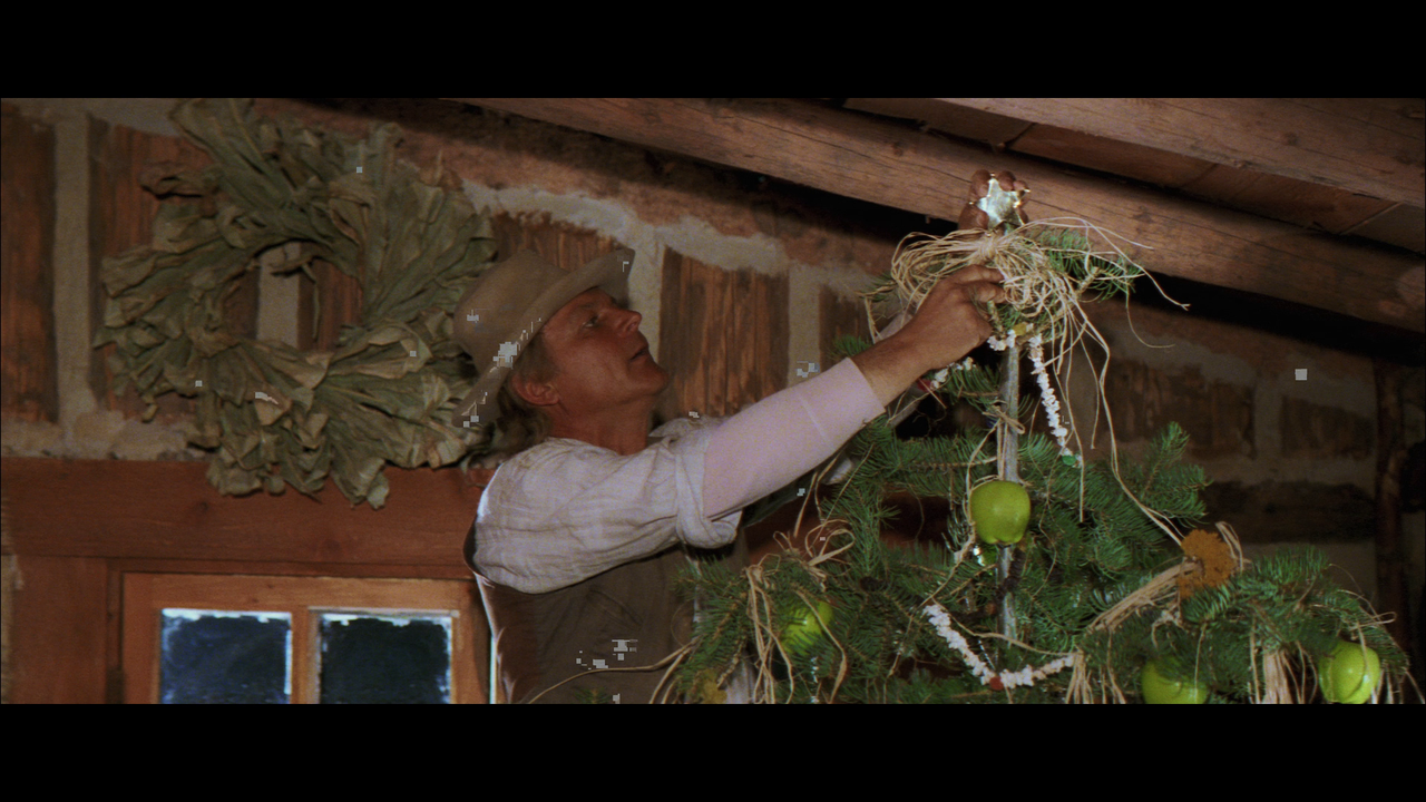 vlcsnap-2025-01-09-14h35m25s671