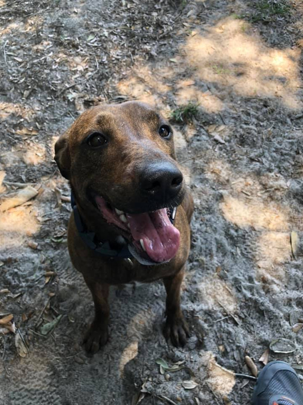 61346142_10218785713739236_1700416198602129408_n