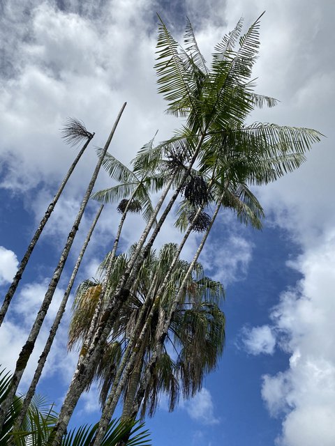 C90DAE21-3D0A-4A56-8338-3EE86EED2C0D