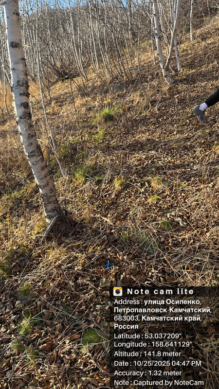 ulica Osipenko Petropavlovsk Kamcatskij 683003 Kamcatskij kraj Rossia