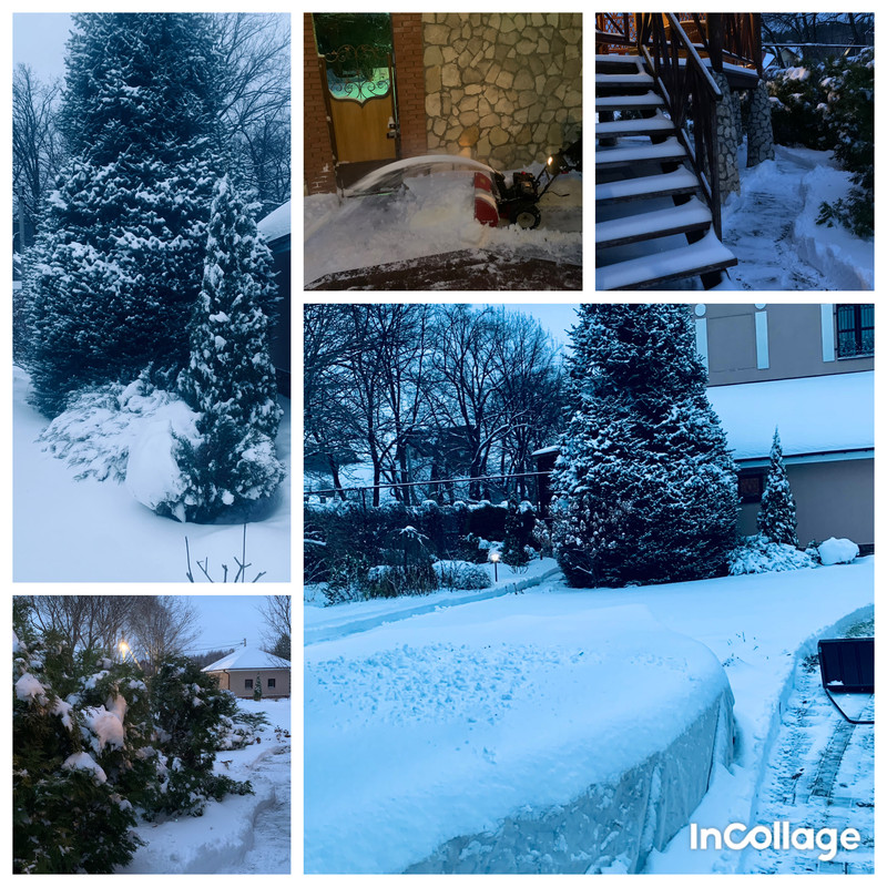 37B05FDD-CCBE-4881-9031-A8A274E3DB02