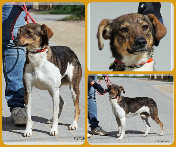 BeFunky-collage (17)