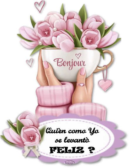 bonjourhechiceratareta1