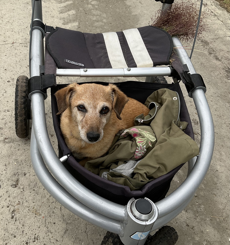 AD2261DF-794D-45B0-B9F0-F68576E4AC80