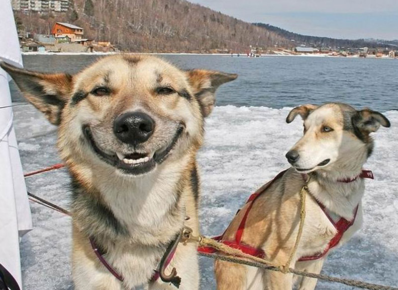 7BF4ED95-EA07-4026-A58B-935EFF2A9235