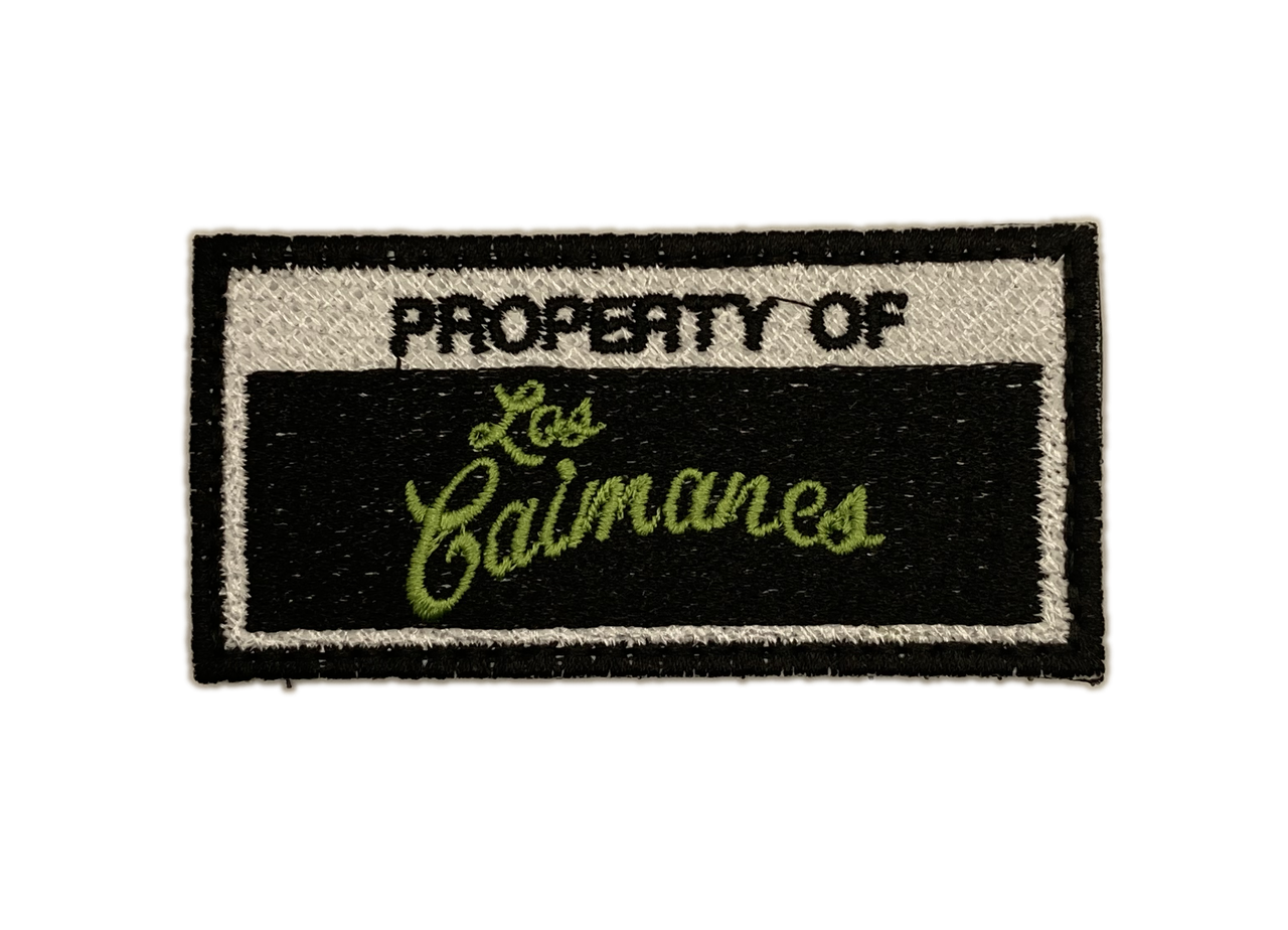 PROPIEDAD DE CAIMANES 00