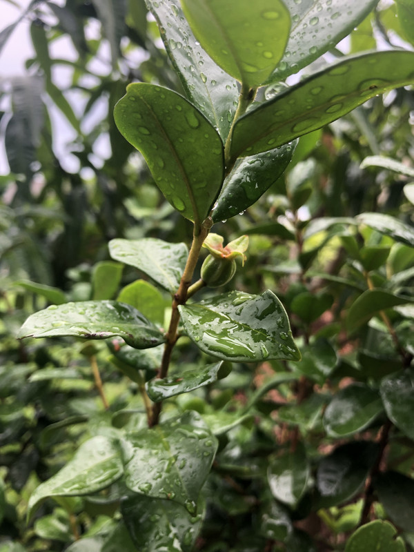 465493F0-9D10-48E4-A444-62CFFCCBEF20