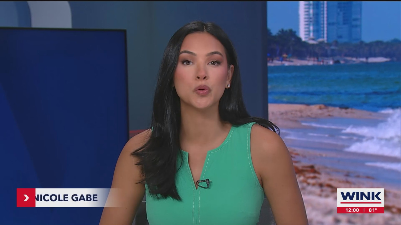 07.02 - 17.00.00 - The WINK Noon News  ᴺᵉʷ. Midday news update..ts_snapshot_01.46.230