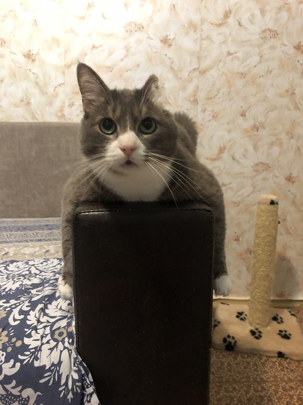 990C2E96-3049-4329-9B2E-1886ED57B216