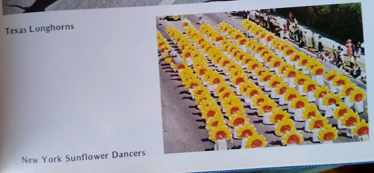 Sunflower Dancers
