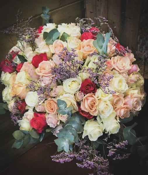 [Image: IMG-1011.jpg]