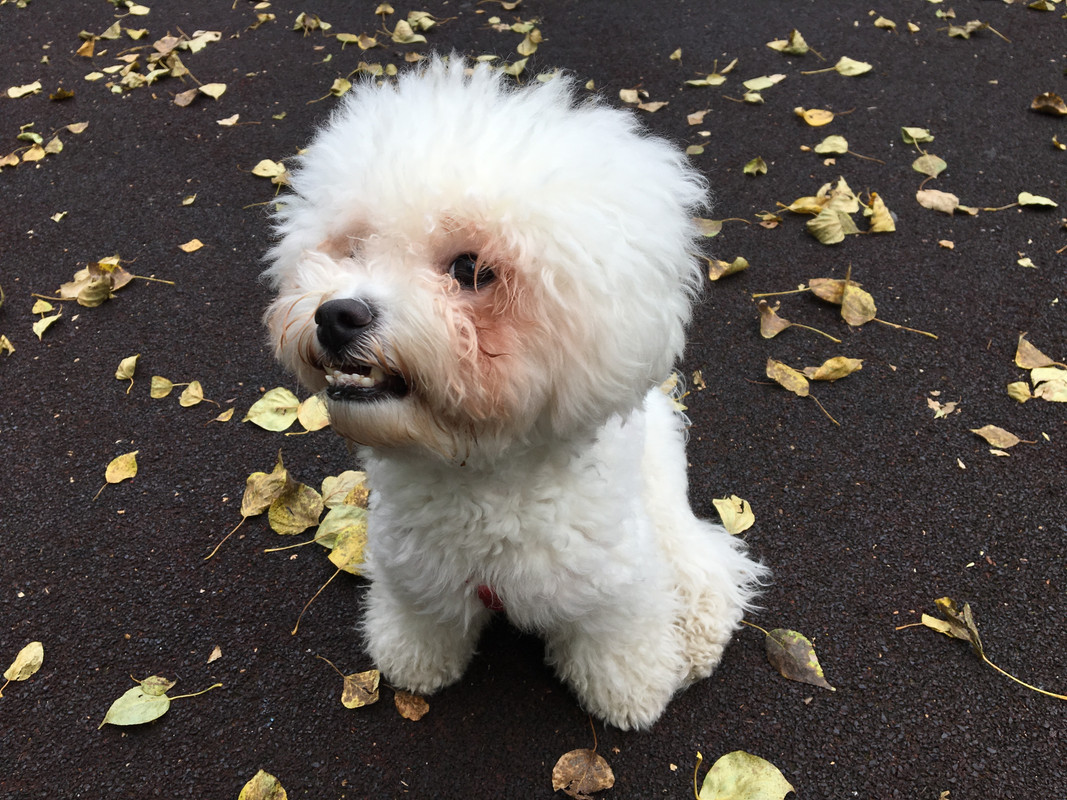 82DBF46F-8513-4553-9BB3-1F2184346BC7