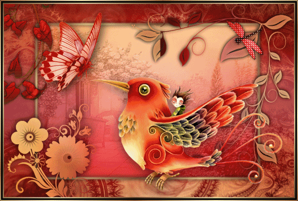mardi 11 juin IMAGE-OISEAU-COLOR