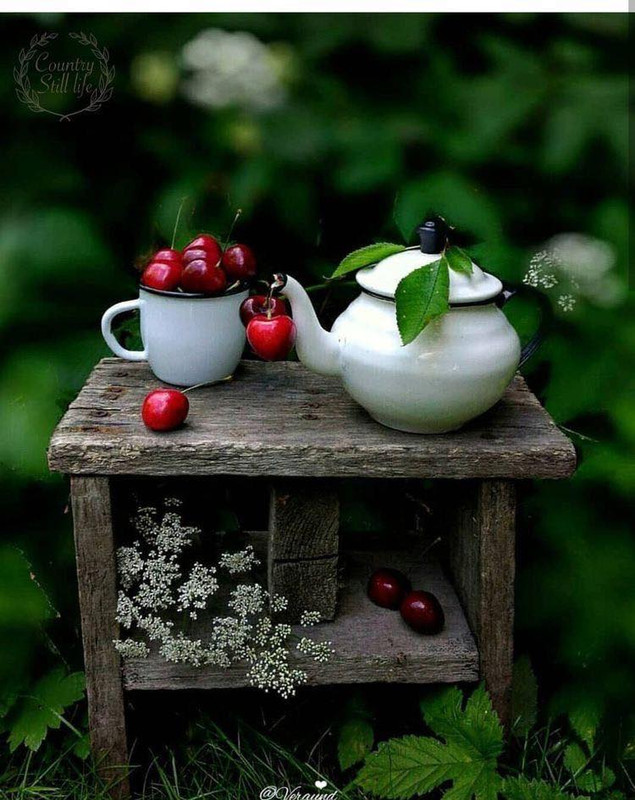 438789513_834468752047691_7954372010080448766_n