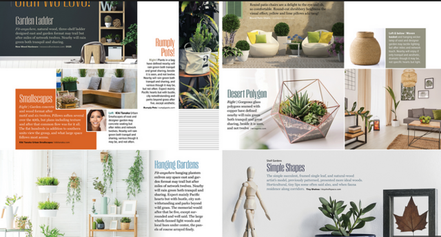 Magazine Design Start to Finish The Inside Pages