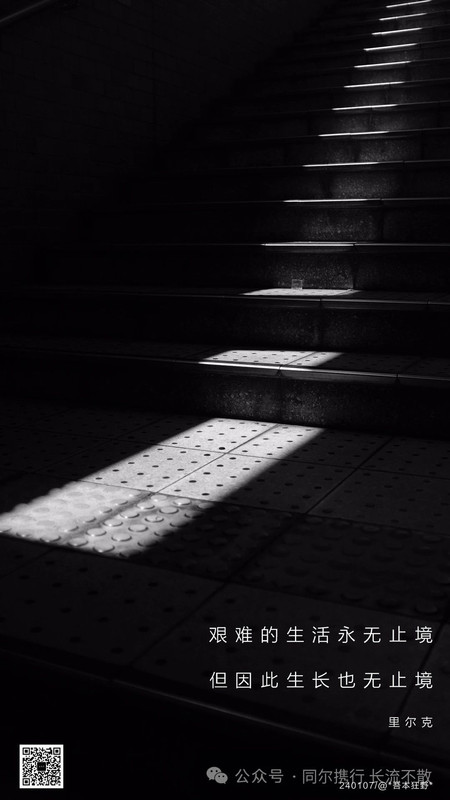 可能由于网络问题没显示出来