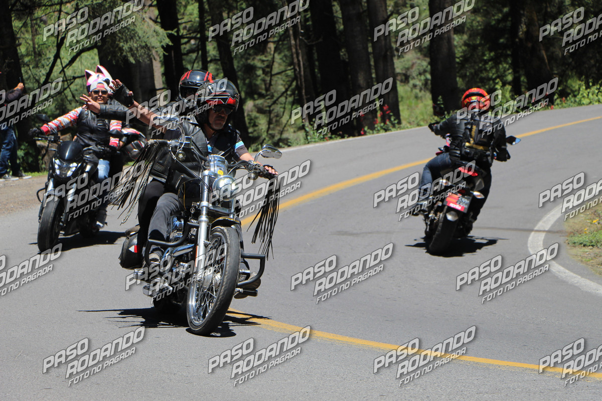 IMG 6731 wm 21334125 2 watermarked — Postimages