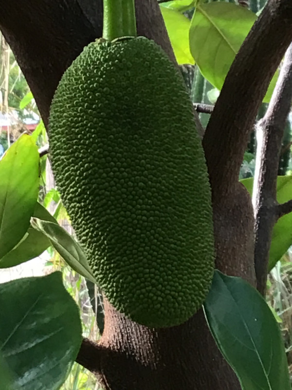 B43D3325-3EA4-44FF-81FA-7113C5104A41