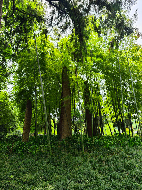 IMG_20230523_145446_副本