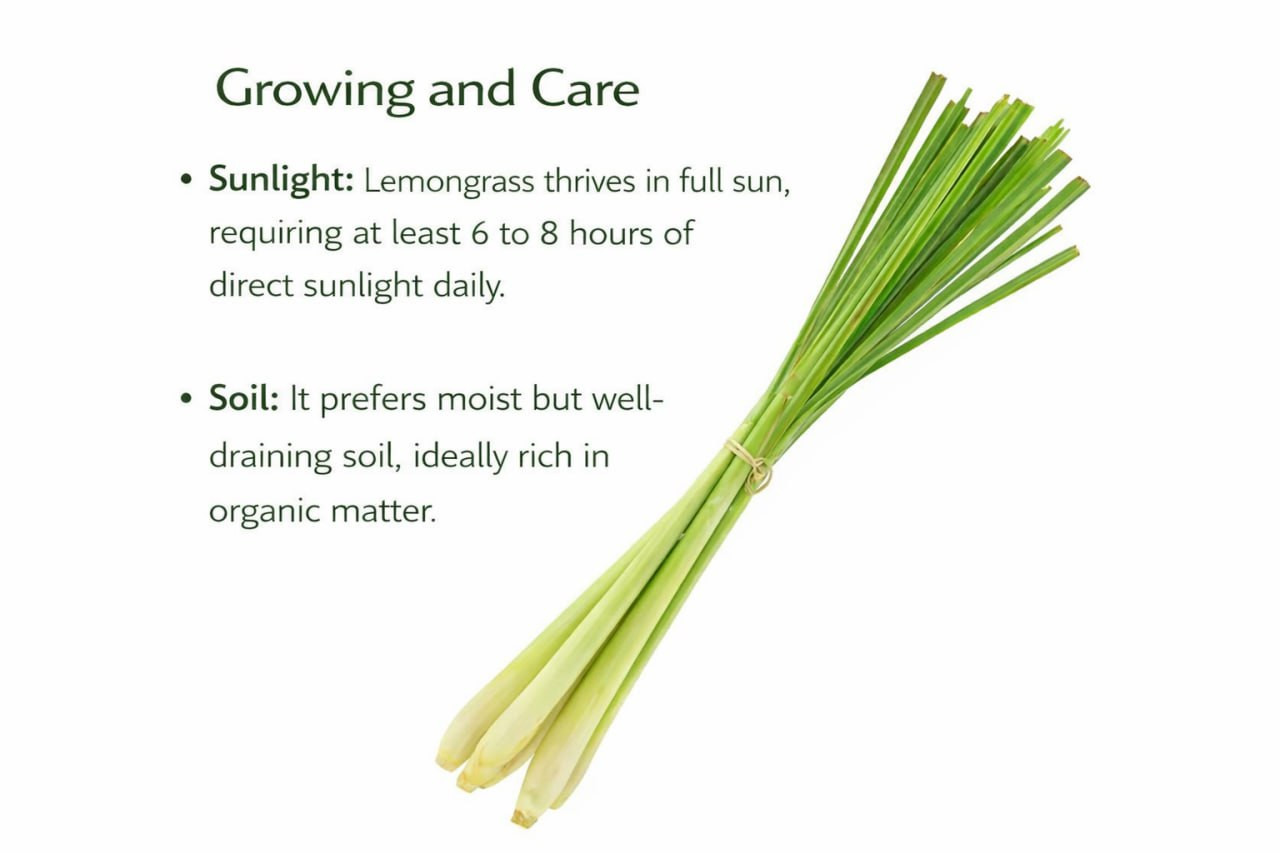 IMG 20251220 020620 320