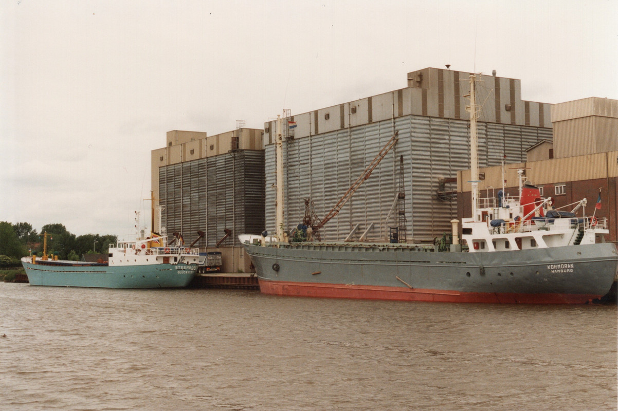 KORMORAN en STEENBORG @ Groningen 18061996 Johannes Leo (1)