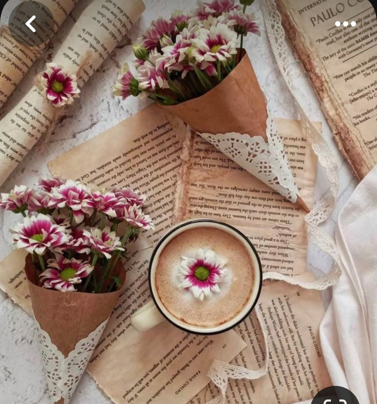 Screenshot_20240203_214016_Pinterest