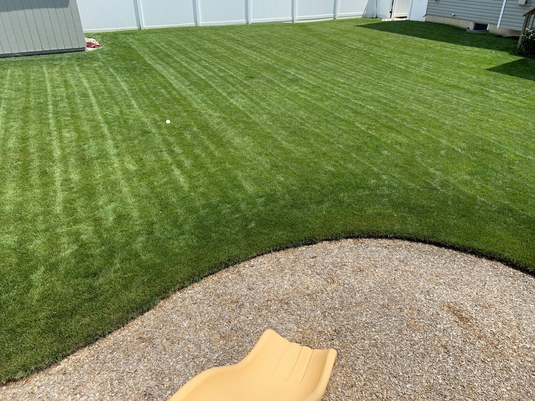 A7C1AAA2-BBBC-41AF-8B46-664D6EBDB589