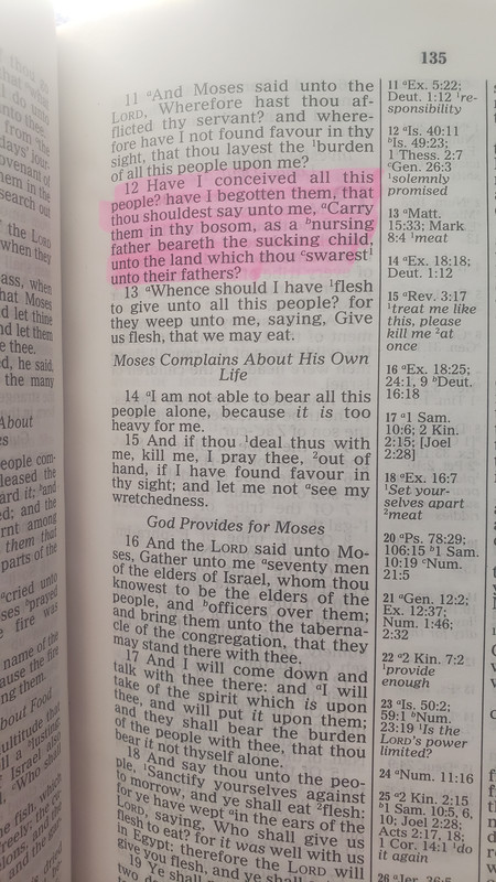 20210307_131641 (2021_04_26 13_44_40 UTC)