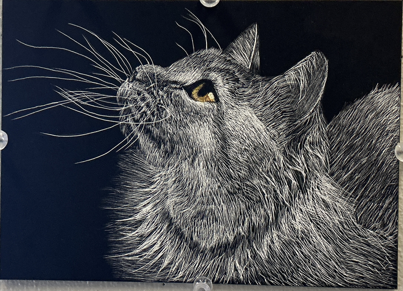 scratchboard drawing of a cat with amber eyes looking up