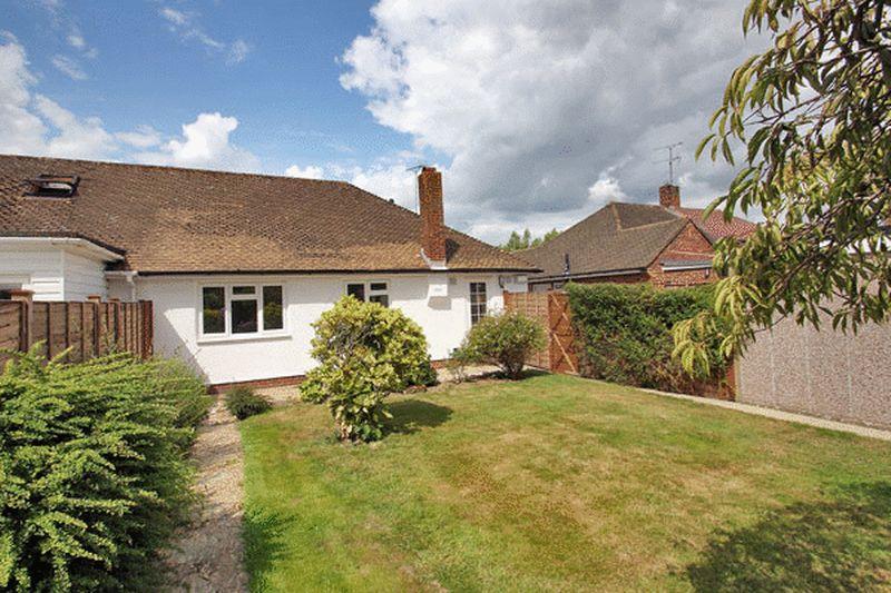 4511_4809104_IMG_10_0000